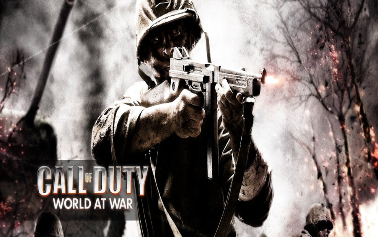 Call of Duty: World at War - Steam Offline Account