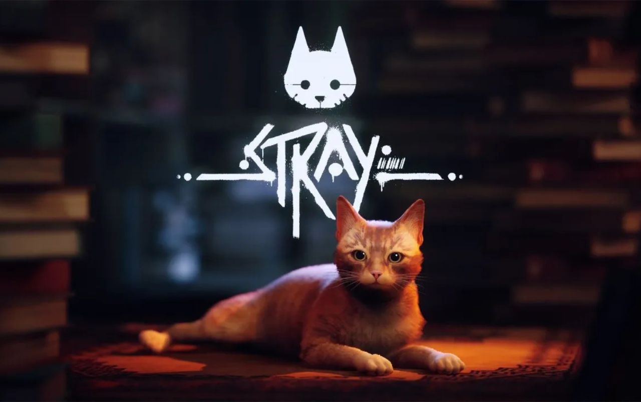 Stray - Steam Offline Account