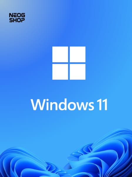 Windows 11 Professional